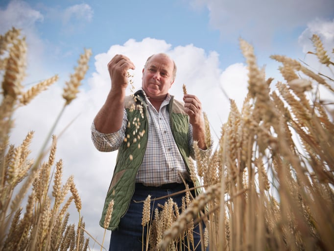 Plant breeders want unified global policy on genome-edited crops to boost food security   