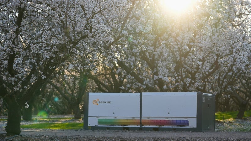 AI for bees? Beewise nears profitability, boosted by $50m Series D round