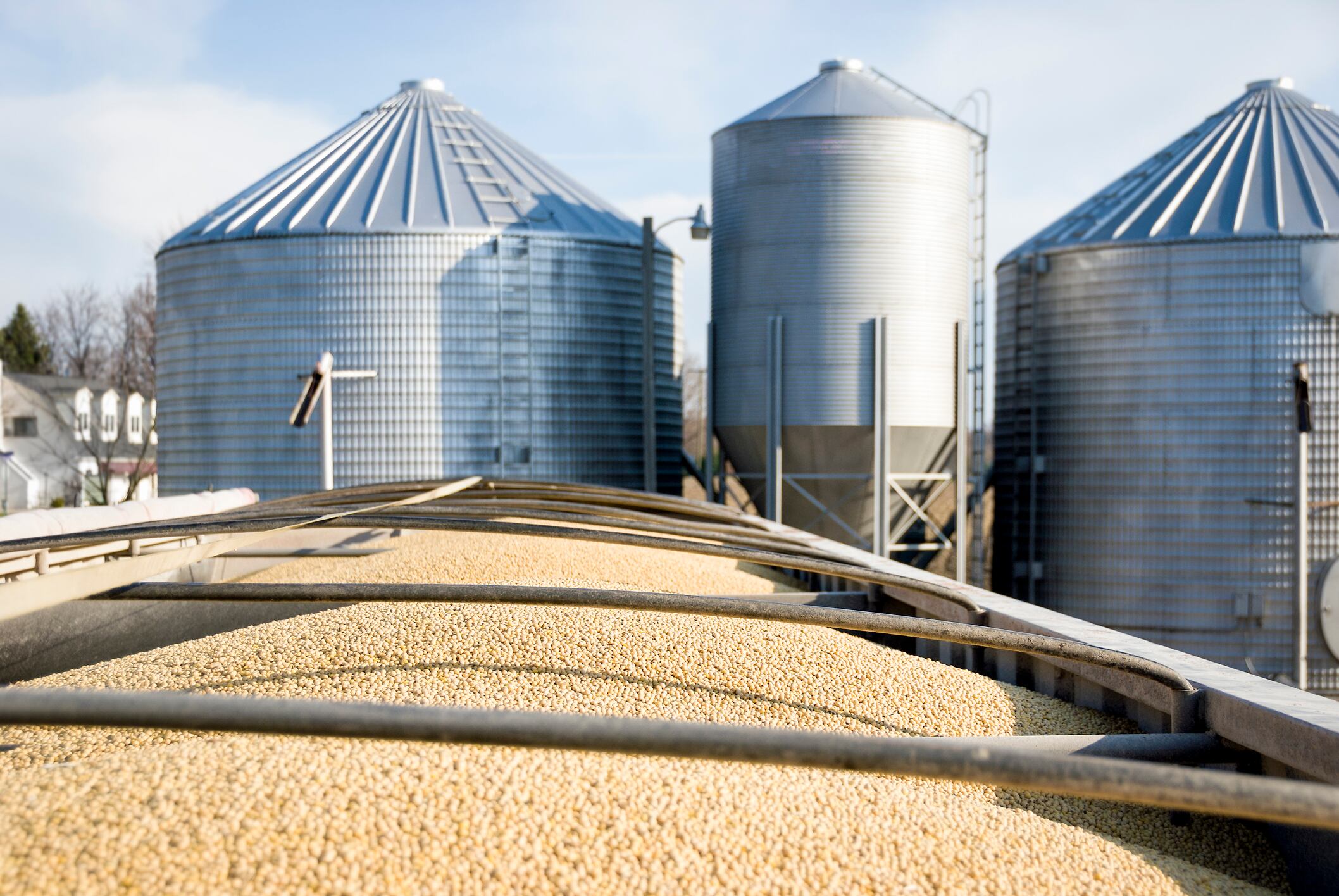 US soy buyers win big with lower-moisture beans, but farmers face the cost