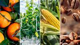 Is Mexico to become a hotspot for agri-food innovation, investment and new technology solutions?