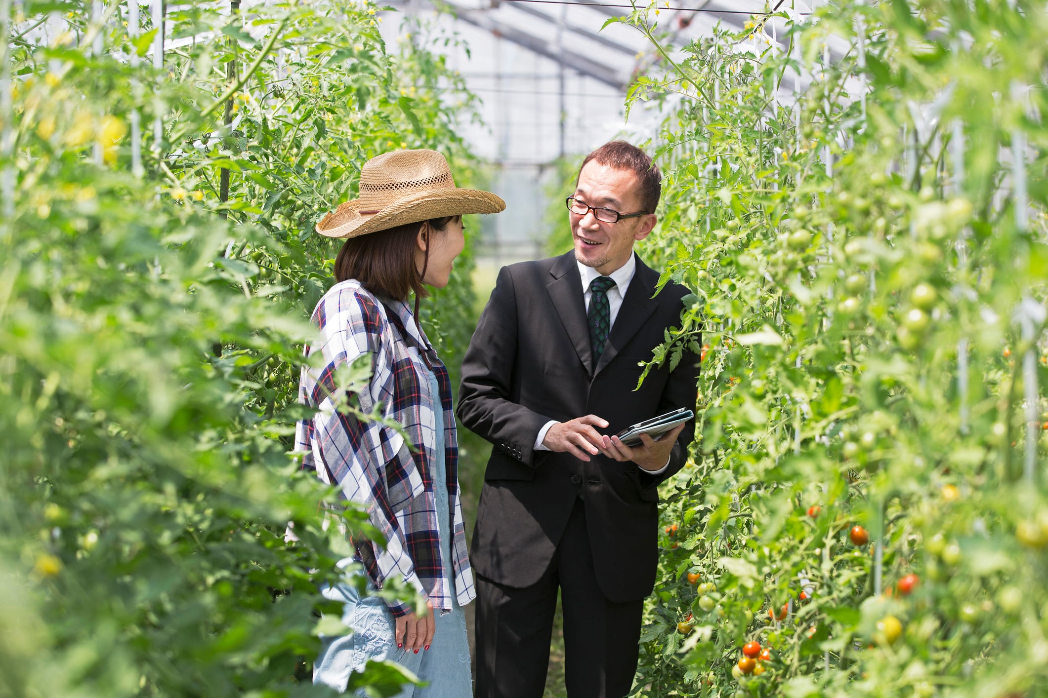 Japan aims to advance its export decarbonisation tech to support global food security
