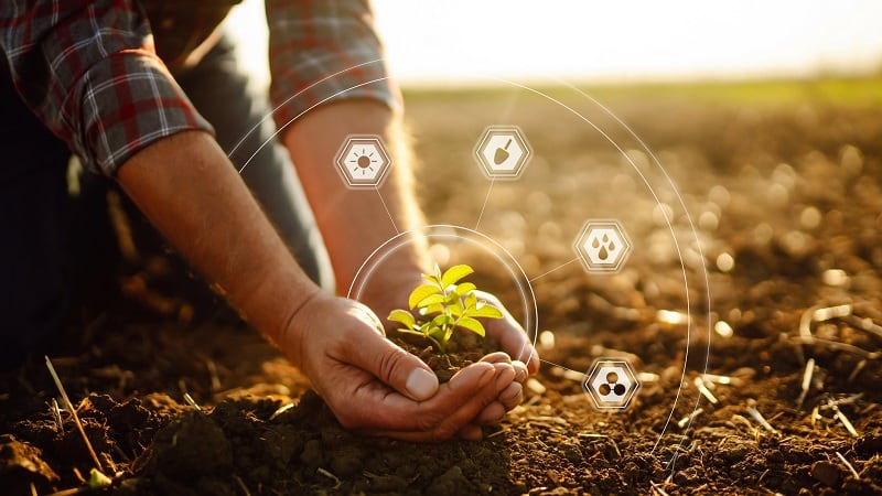 Miraterra acquires Trace Genomics to expand into soil biology measurements 