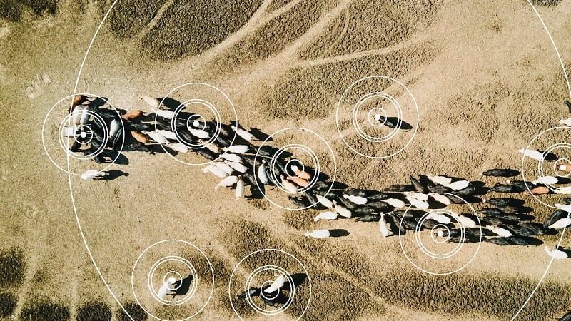 Tech's fail-fast mentality does not have a home in the ag industry.