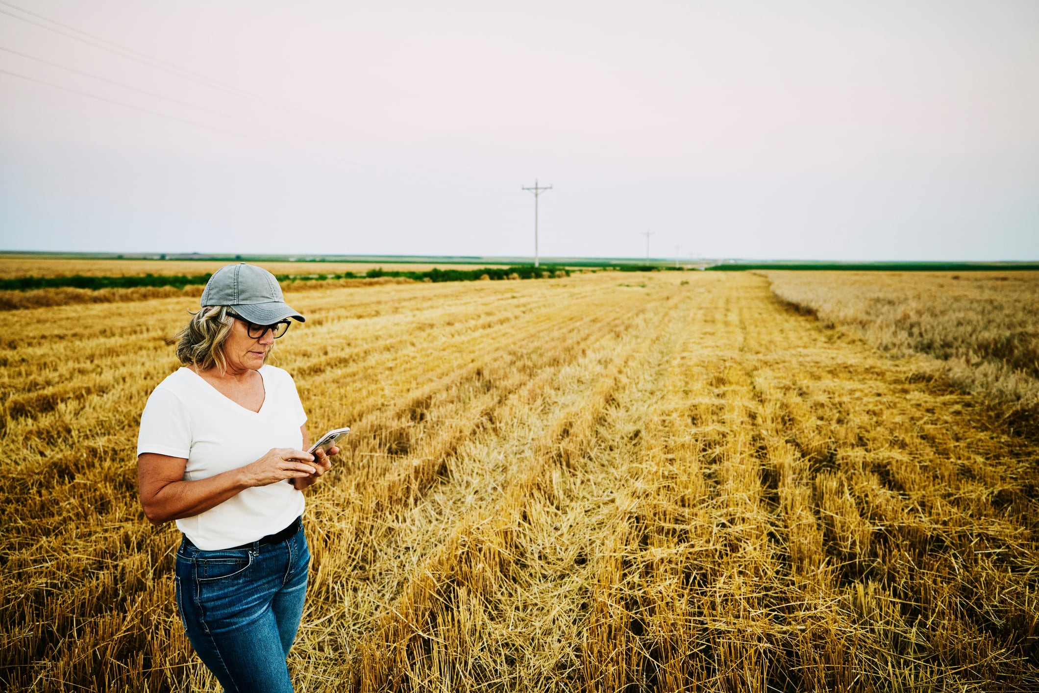 ‘We don’t want to be a company that’s left in the box’: Innov8.ag on what’s key to actionable data 