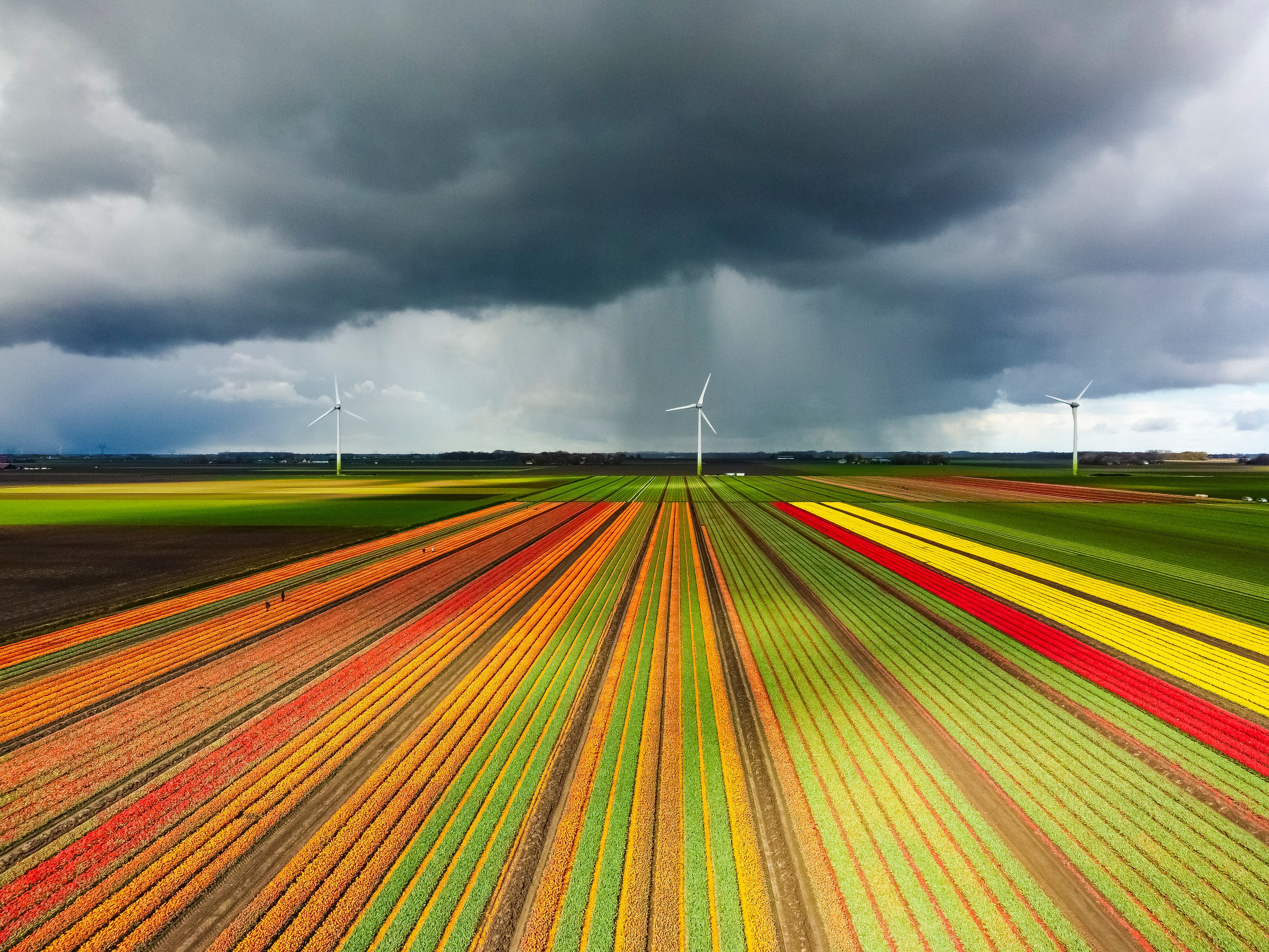 Denmark’s Cordulus launches rain forecasting model tailored to European farmers