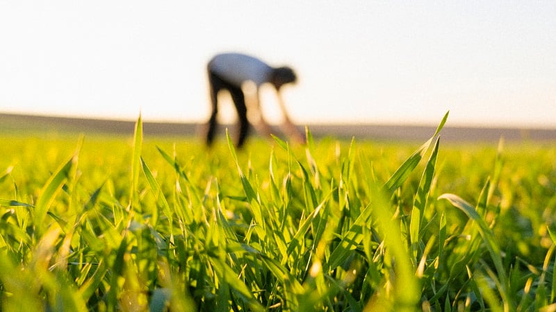Why are US farmers struggling to adopt sustainable ag?