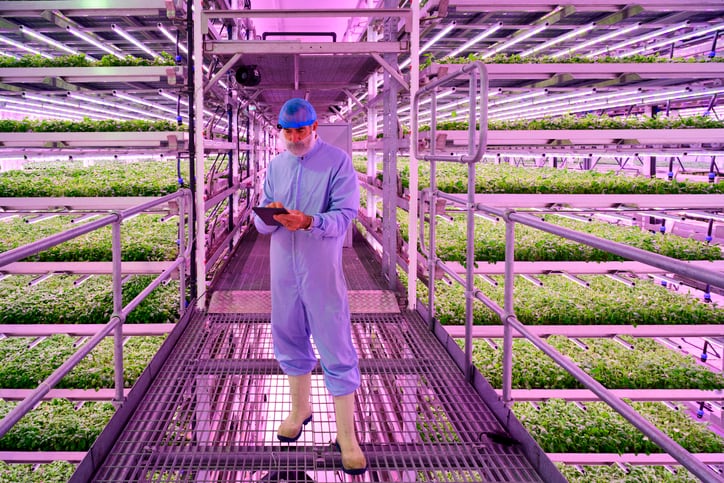 What does Bowery’s closure tell us about the future of vertical farming?