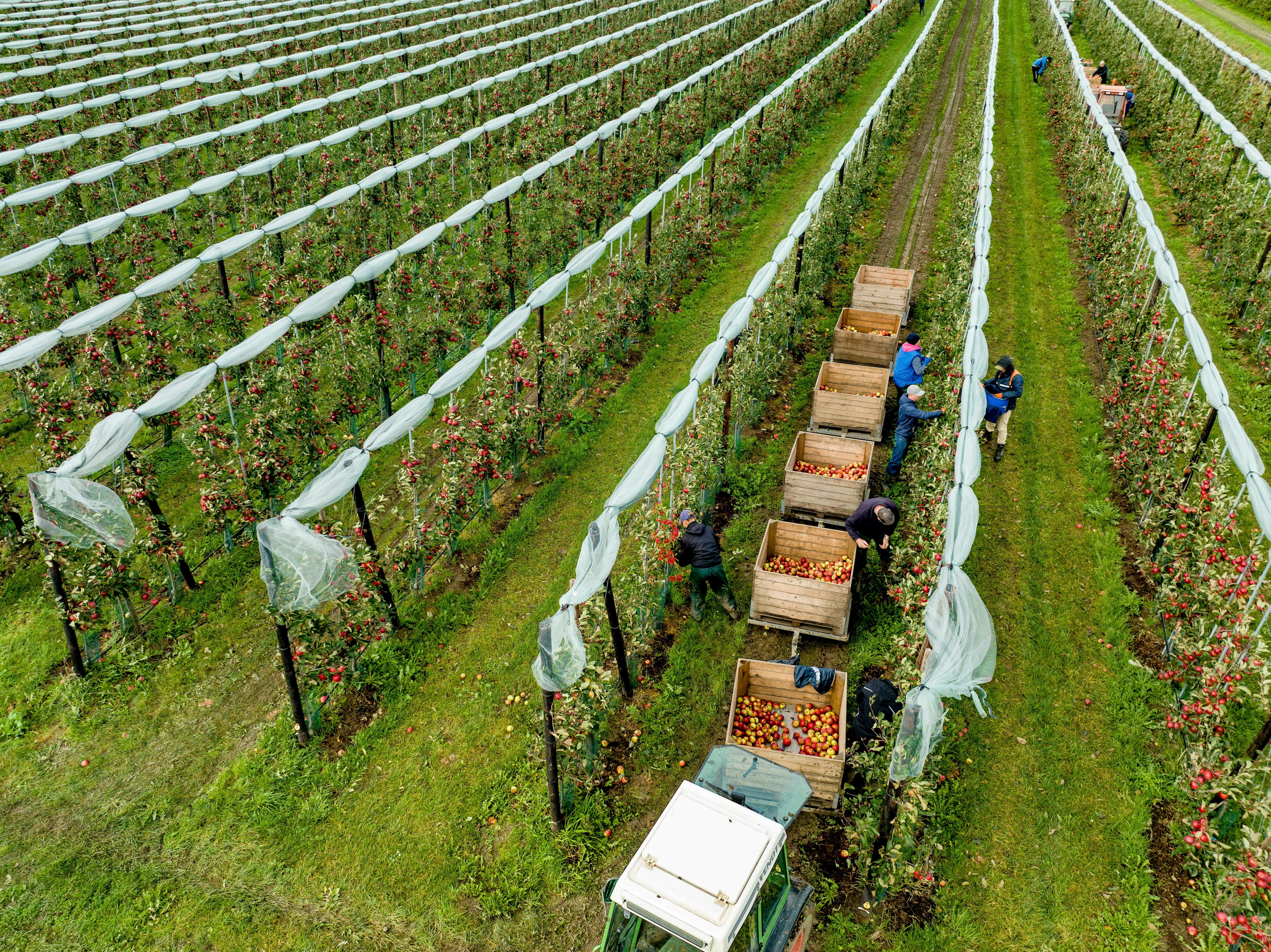 For smarter spraying: MMW Radar tech enables precision spraying in orchards in challenging weather