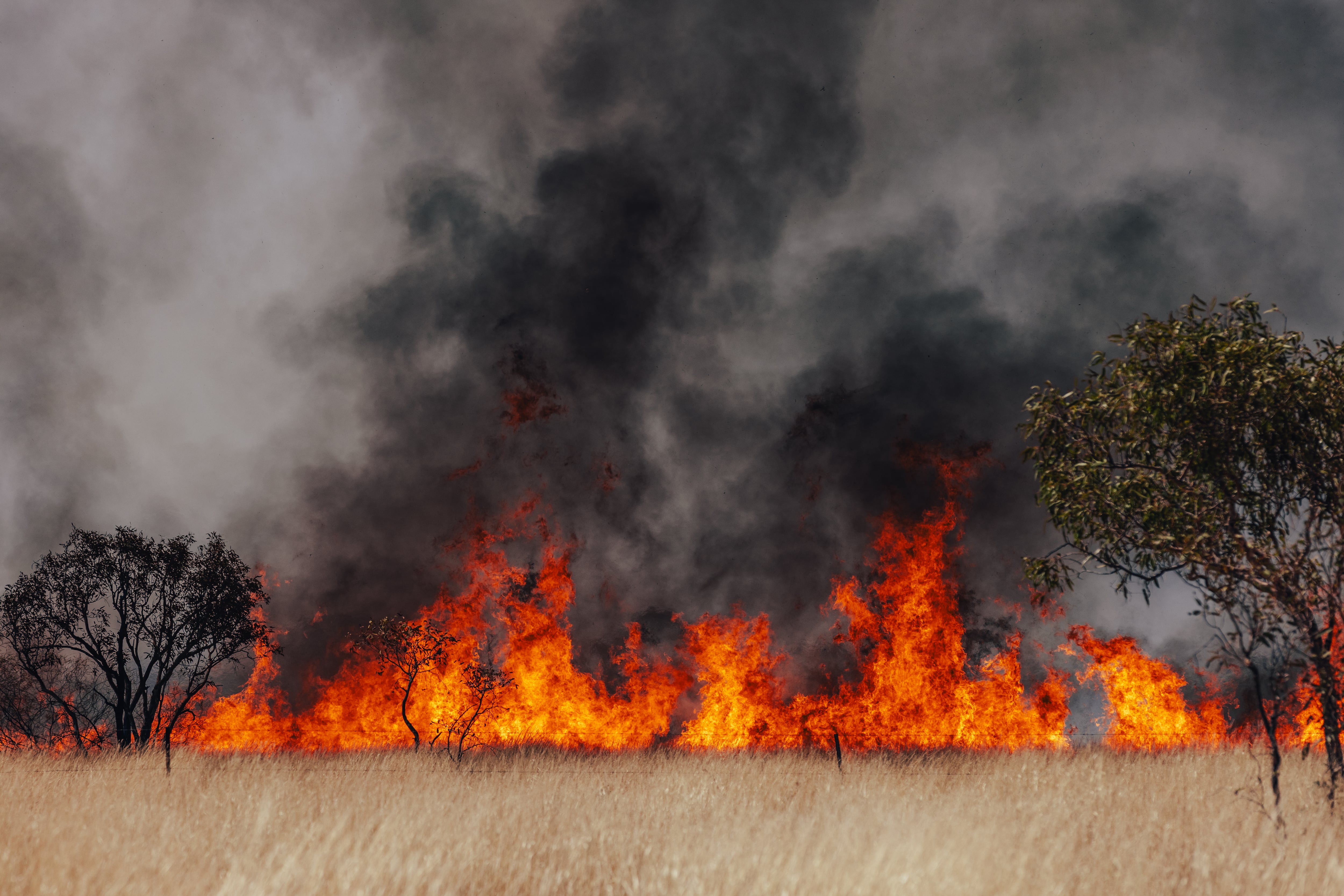 Agrifintech acquisition illustrates growing need for climate risk assessment in agricultural finance