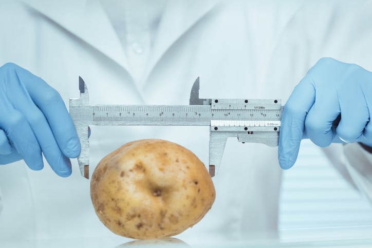 Potato innovation’s ‘golden age’ reveals latest breakthrough