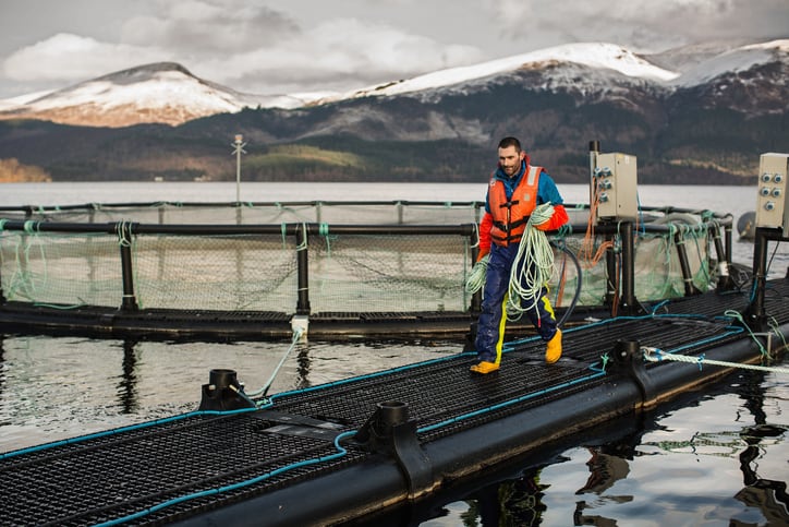 IFFO: Life cycle assessment model captures nuances of marine feed ingredients