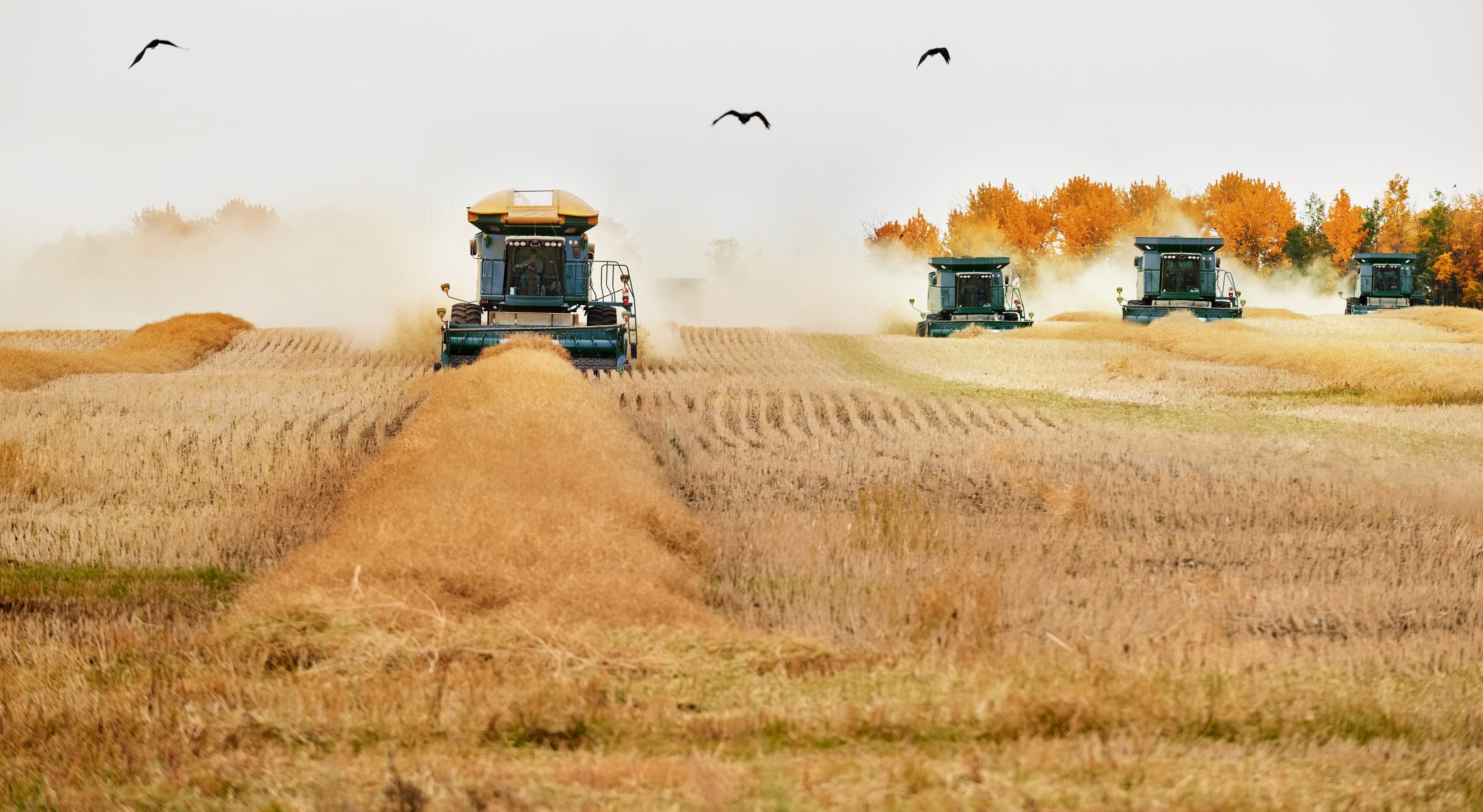 Jord BioScience gets $7M to develop microbial solutions for ag