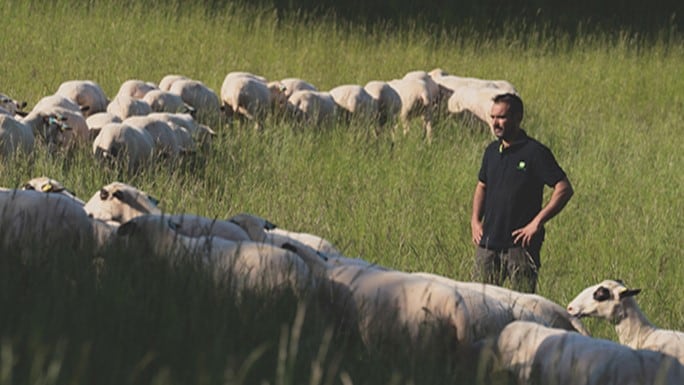 A dedicated focus on small ruminant nutrition