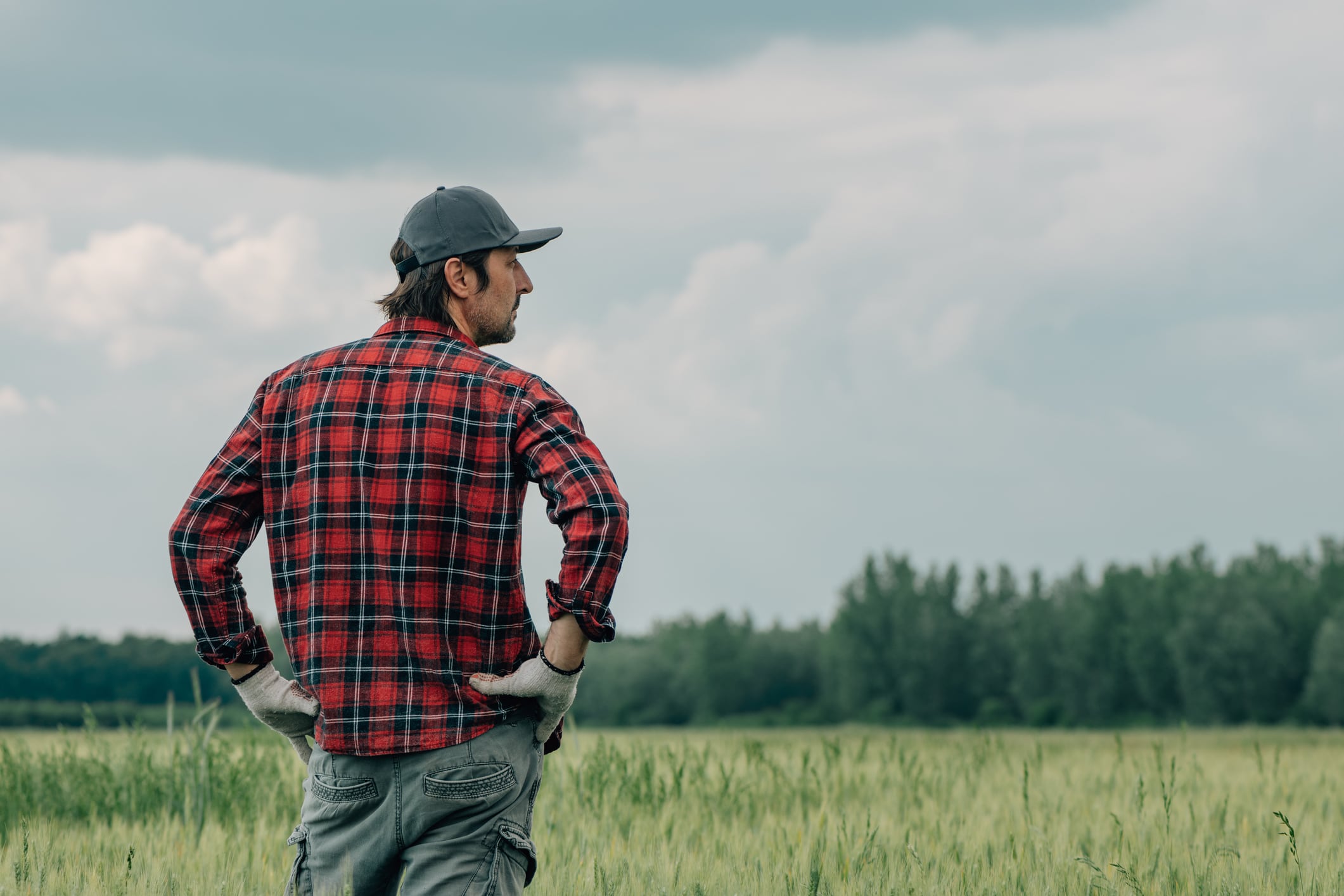 Criticism and concern: Ag sector’s alarm at US tariffs