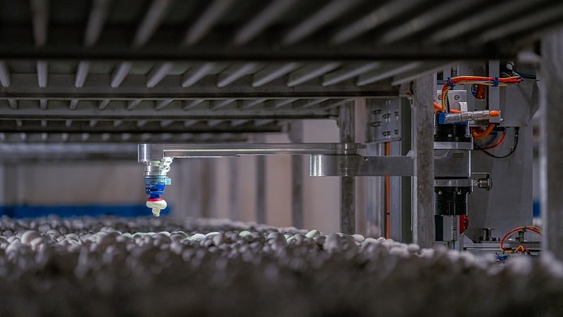 Winning the mushroom-growing game: 4AG Robotics raises $40m CAD to scale harvesting robots
