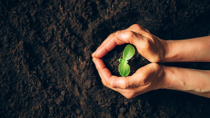 State of VC funding: Lever VC discusses agtech opportunities, challenges  