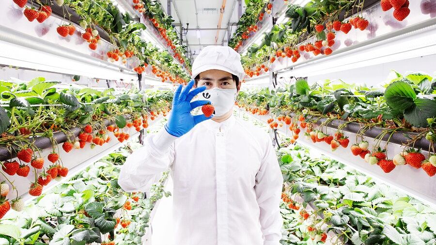 Oishii raises $134m in turbulent time for vertical farms to expand production, distribution & its portfolio