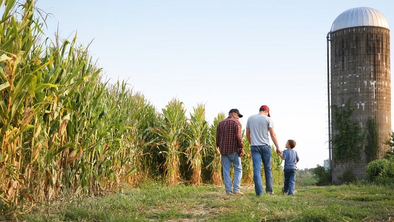 Midwest farmers dig into soil health data with Waypoint Analytical