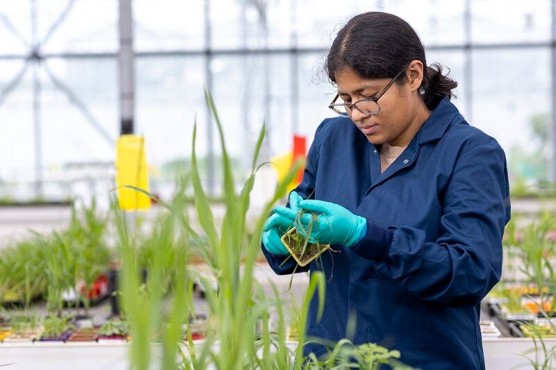 Is it time for a more balanced perspective on chemical crop protection?