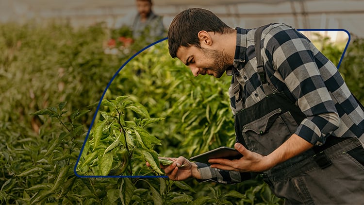 The Next Big Tech Boom? It’s on the Farm.