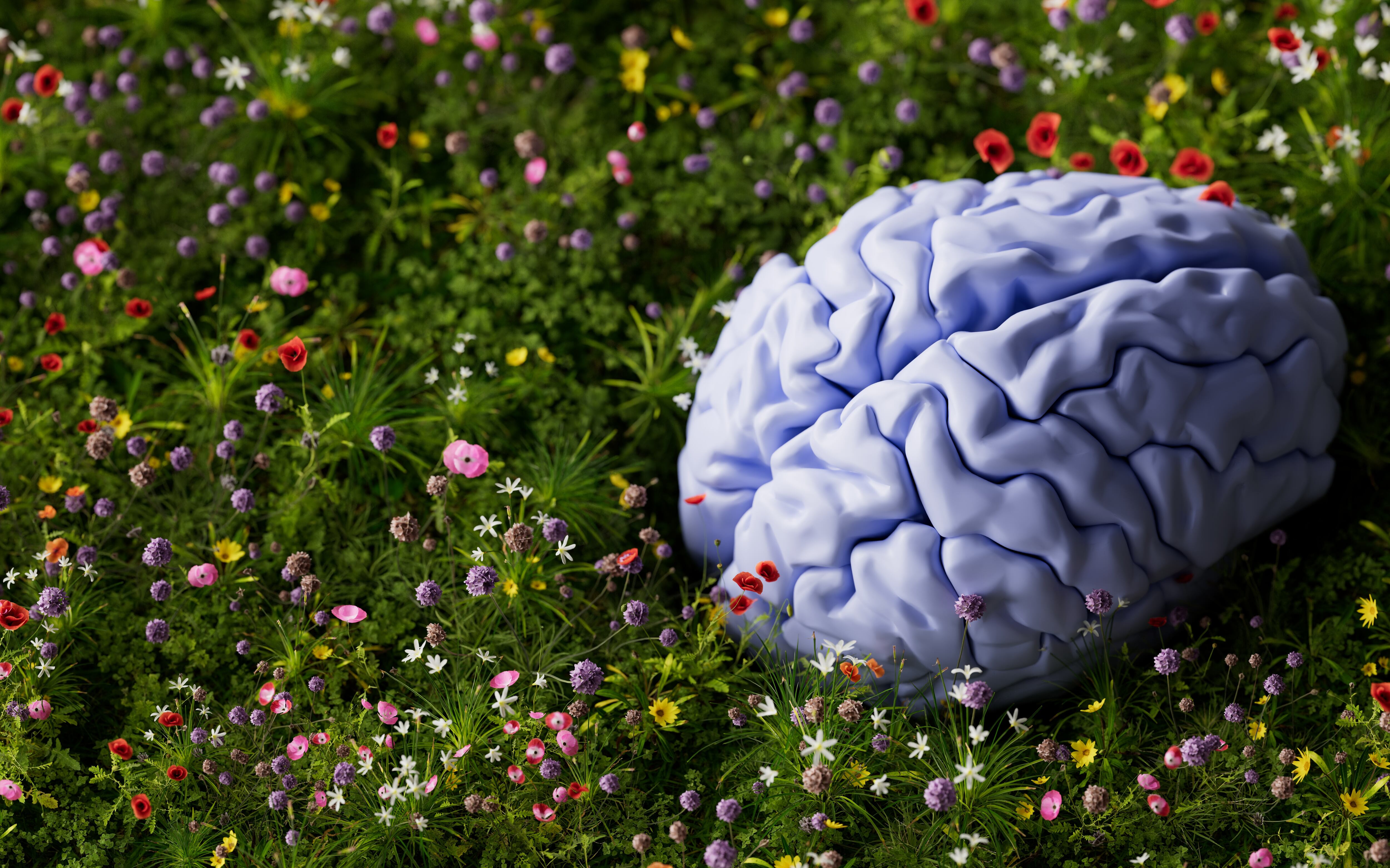 Fermata gets $10M to build its ‘brain of ag’