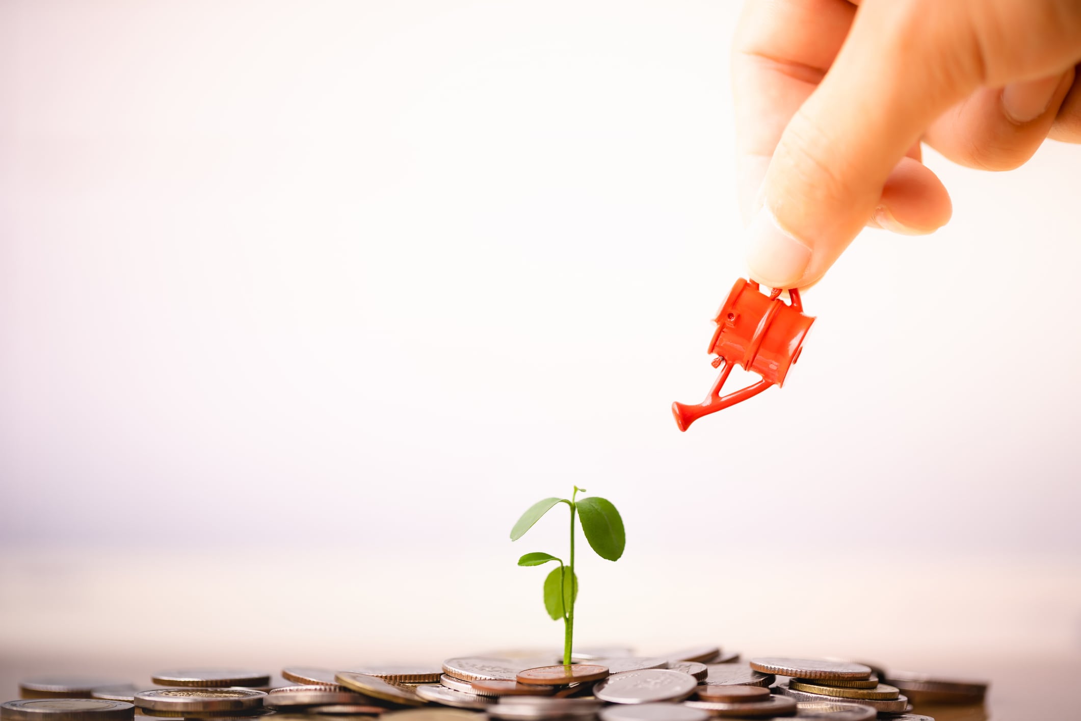 Private equity ‘uniquely placed’ to unlock value from biologicals boom, says Ambienta