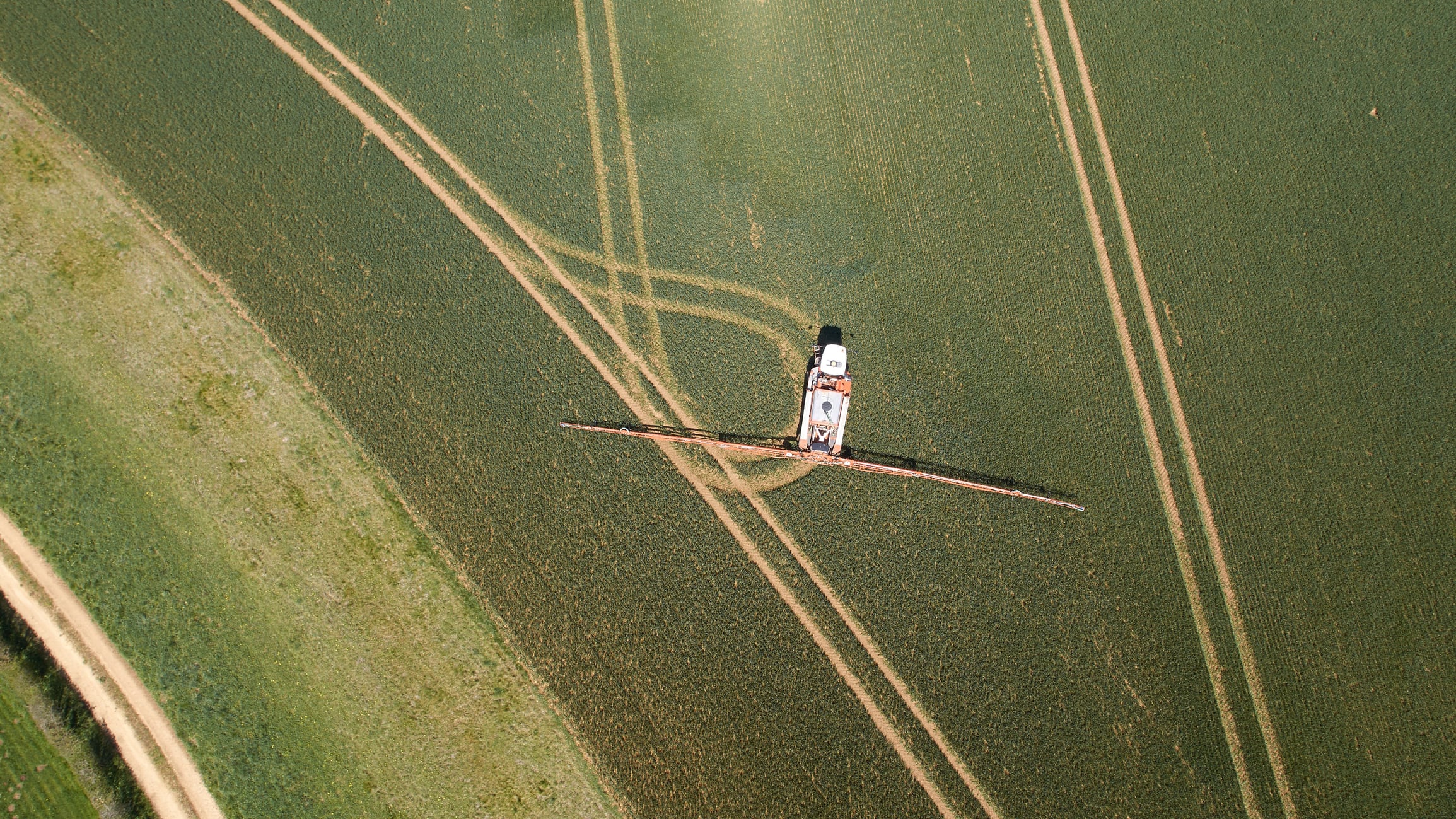 Phage therapy presents crop protection potential amid climate change concerns