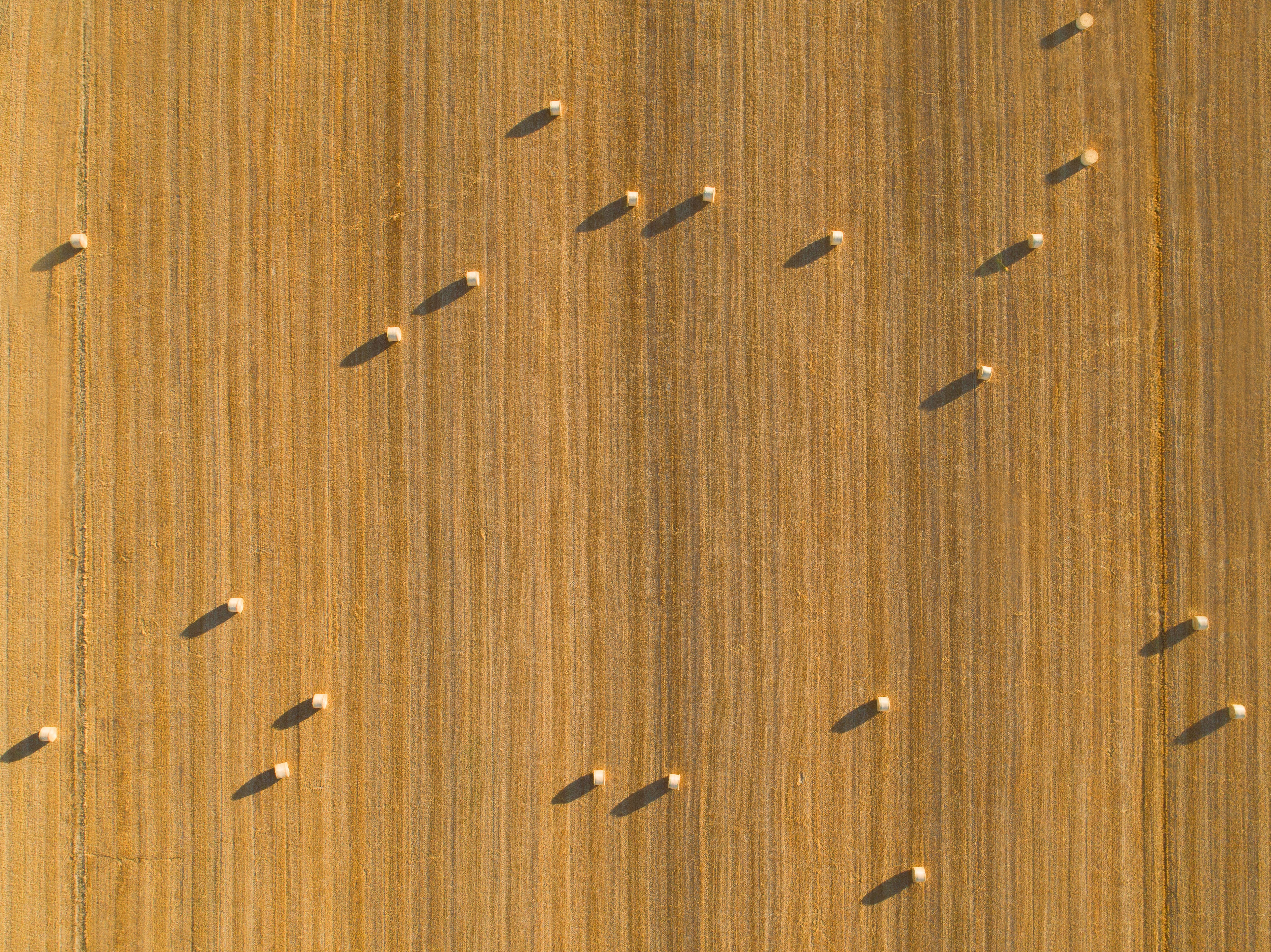 Public ‘largely supportive’ of new genomic techniques in ag, claims Leaps by Bayer