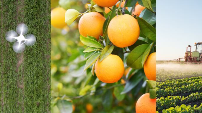 Commercializing solutions for climate resilient agriculture for a sustainable future