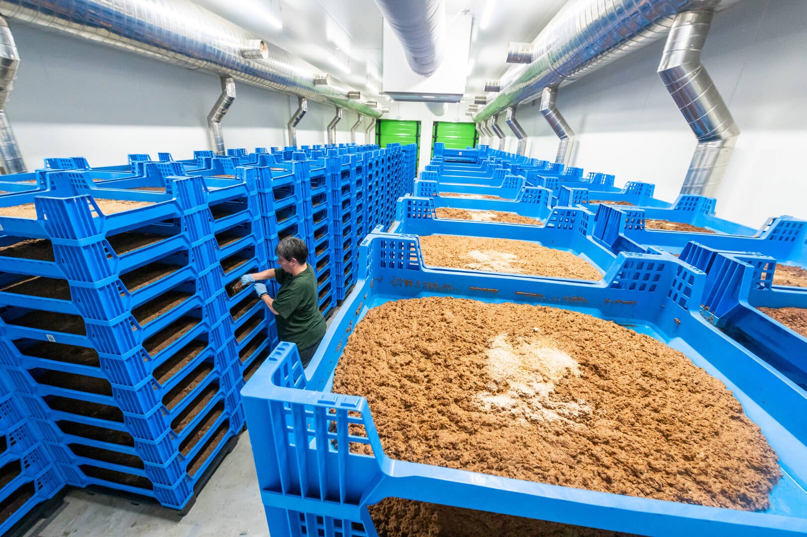 Another French insect protein producer in financial trouble 