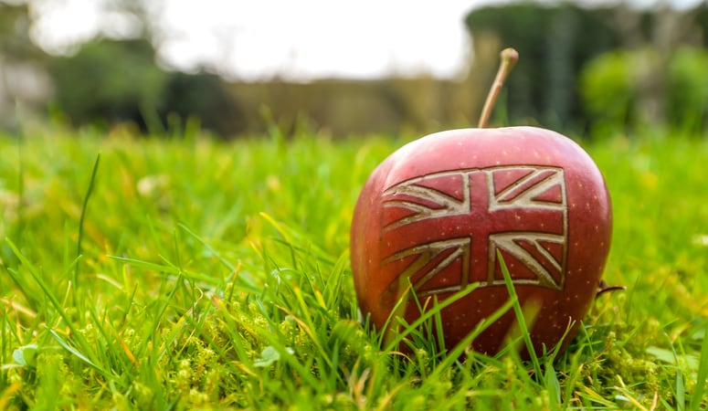 What solutions does the UK agri-supply industry want to achieve resilience?