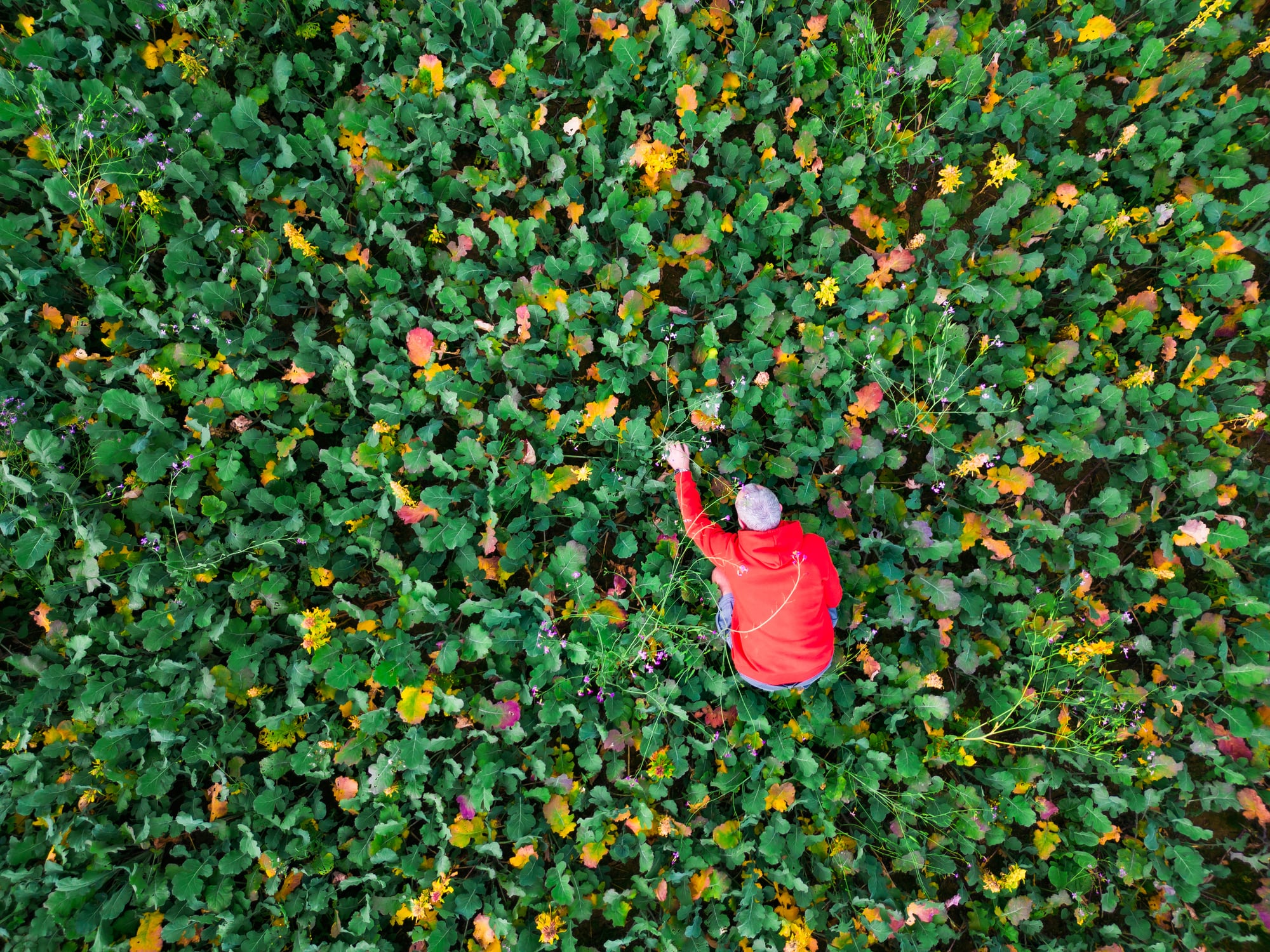 Six ways to scale regen ag in Europe 