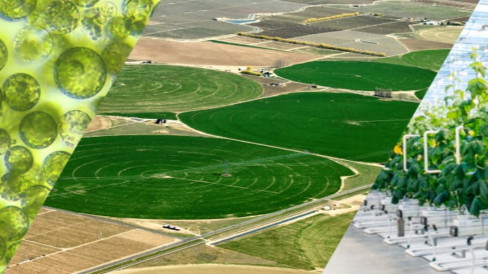 Advancing climate-smart agriculture for food security