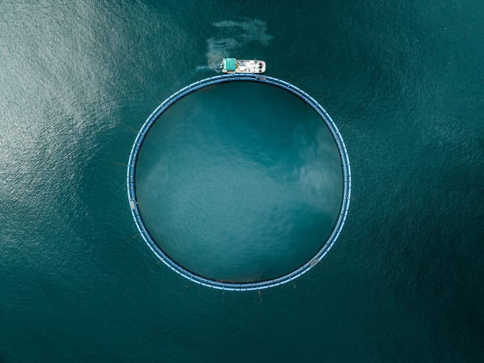 Four solutions to the problem of damaging wastewater discharge in aquaculture