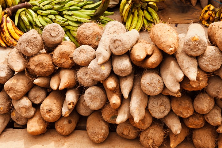 Gene editing set to boost Africa’s pressured yam production